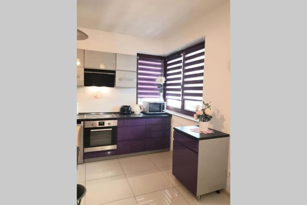 Luxury Kings 50m2 2 Pok. Downtown Dobrego Pasterza Piekny Apartment
